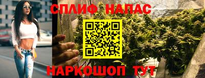 сатива Кинель