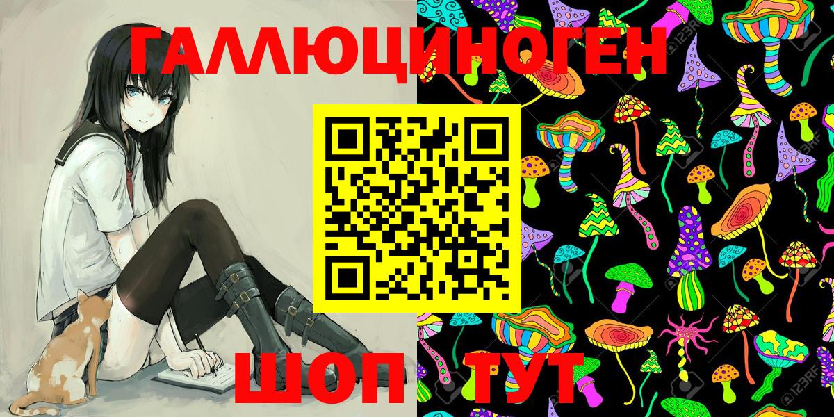 Кудымкар  Псилоцибиновые грибы Cubensis  Вход с VPN 